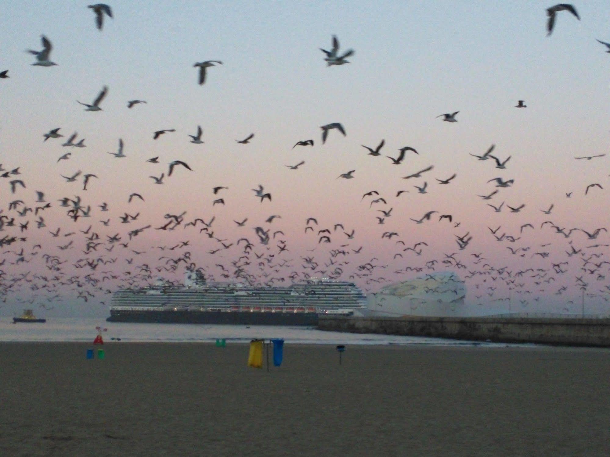 Hotel Amadeos - Matosinhos - Porto Eksteriør bilde